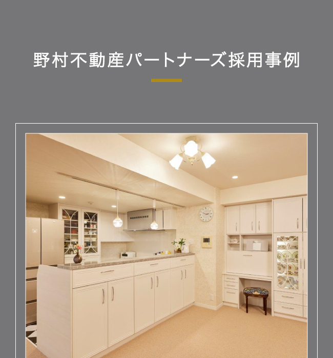 野村不動産パートナーズ採用